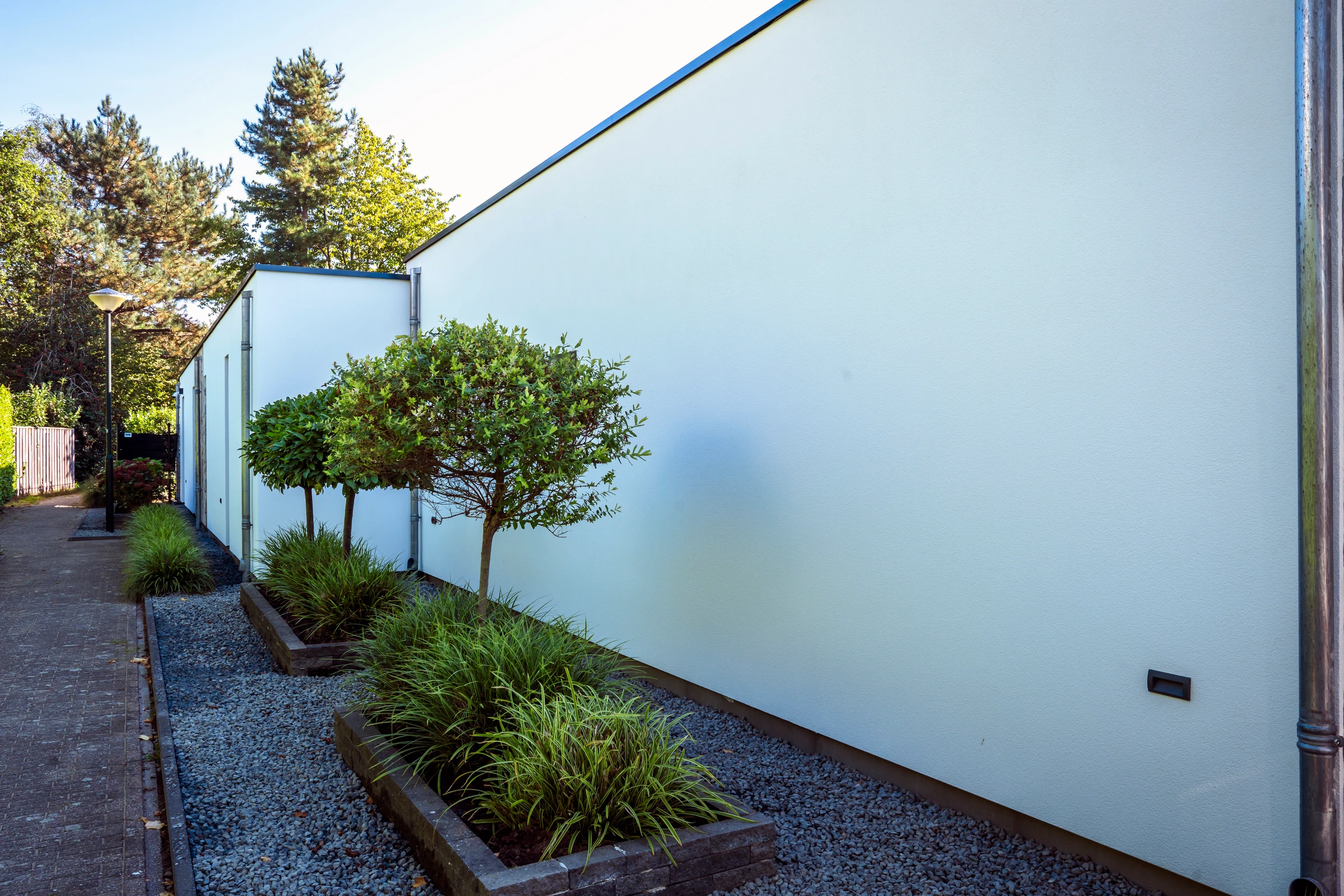 Detail van een witte woninggevel met donkere kozijnen en groene beplanting